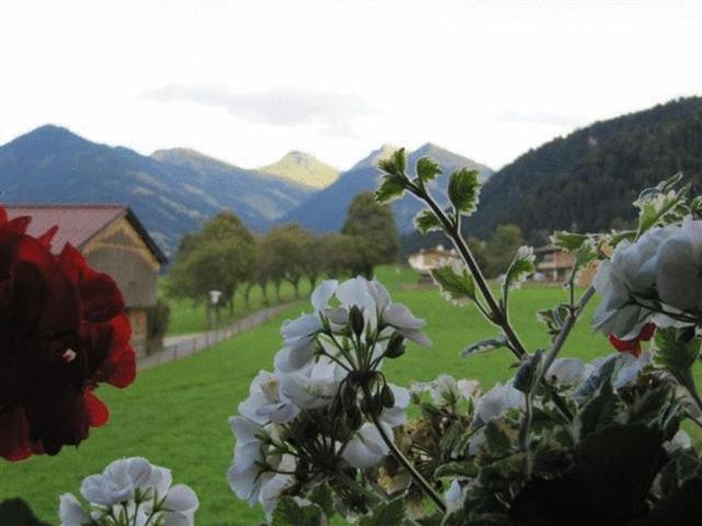 Haus Friedl Hotel Kitzbuhel Exterior photo